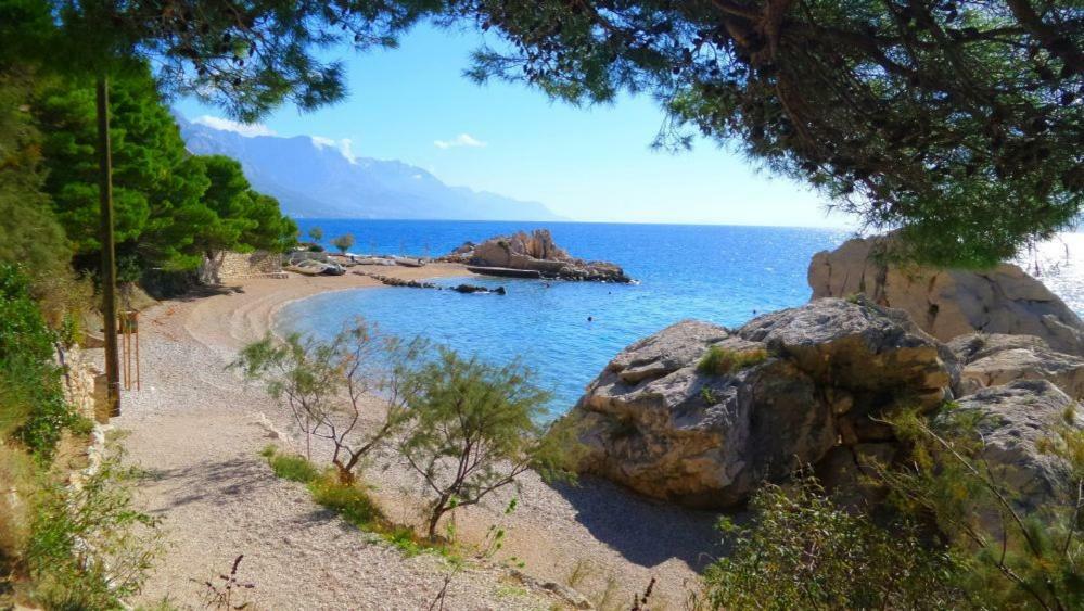 Villa Kata Marusici  外观 照片