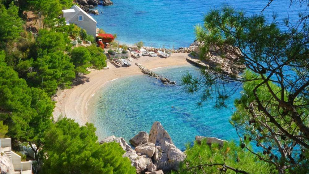 Villa Kata Marusici  外观 照片